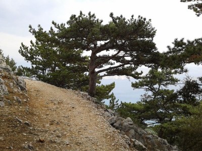 Holiday apartment Flat Karla **** with 2 baths & 2 bedrooms - Environment photo 36