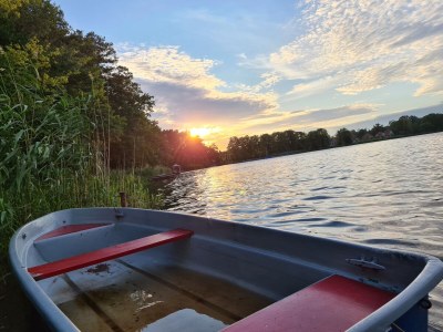 Holiday house Müllrose "in the woods" - Environment photo 38