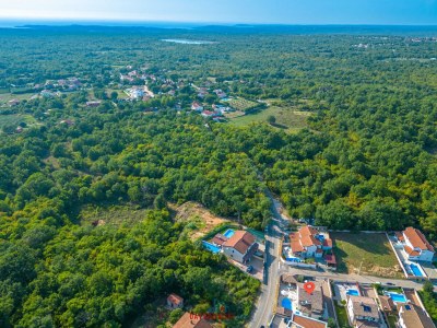 Villa Artist - Environment photo 40