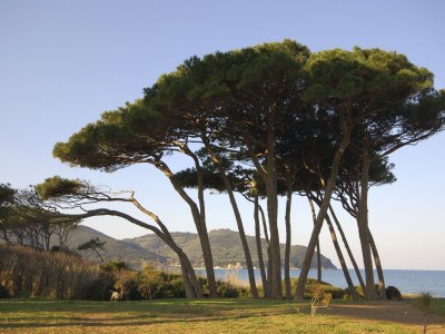 Holiday house Arcobaleno - Environment photo 16