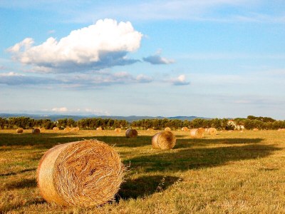 Holiday house Studio Mediterraneo - Environment photo 18