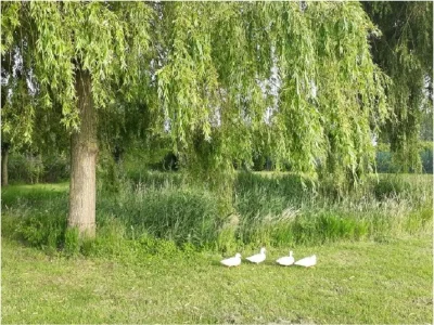 Holiday apartment MB01 Holiday Apartment Middelburg - Outdoor photo 11