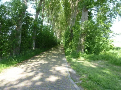 Holiday apartment MB01 Holiday Apartment Middelburg - Environment photo 23