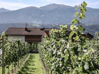 Apartment Appartement/Fewo, Dusche, WC, Wohn-/Schlafraum - Outdoor photo 4
