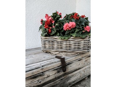 Apartment Appartement/Fewo, Dusche, WC, Wohn-/Schlafraum - Outdoor photo 10