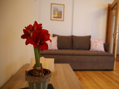 Apartment Ferienwohnung Zirbenherz - Outdoor photo 9