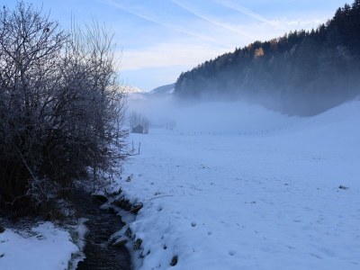 Apartment Ferienwohnung Zirbenherz - Outdoor photo 21