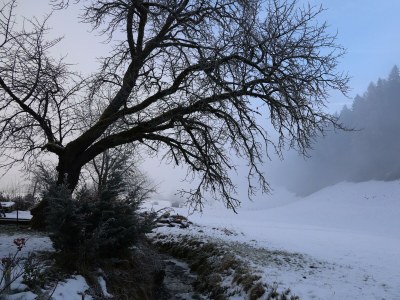 Apartment Ferienwohnung Zirbenherz - Outdoor photo 22