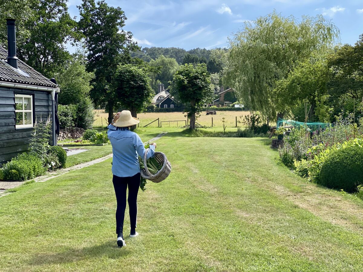 Farmhouse Koningshof - Outdoor photo 2