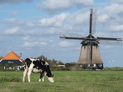 Farmhouse Koningshof - Environment photo 23