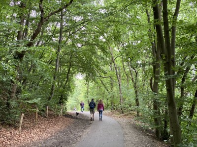 Farmhouse Koningshof - Environment photo 24