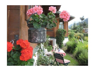 Apartment Wooden log cabin Hiller Kleinarl Apt.2-6 pers. - Outdoor photo 4