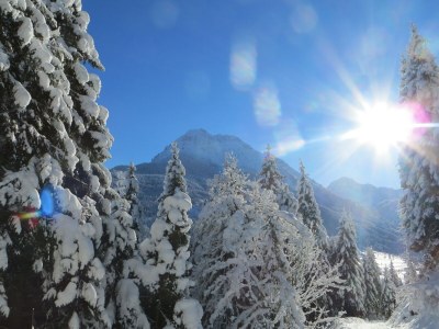 Apartment Wooden log cabin Hiller Kleinarl Apt.2-6 pers. - Outdoor photo 7