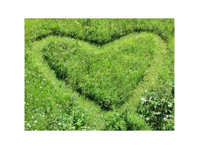 Apartment Wooden log cabin Hiller Kleinarl Apt.2-6 pers. - Outdoor photo 8