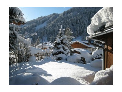 Apartment Wooden log cabin Hiller Kleinarl Apt.2-6 pers. - Outdoor photo 10