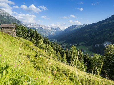 Apartment Wooden log cabin Hiller Kleinarl Apt.2-6 pers. - Outdoor photo 14