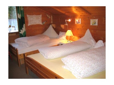 Apartment Wooden log cabin Hiller Kleinarl Apt.2-6 pers. - Features photo 20