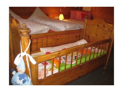 Apartment Wooden log cabin Hiller Kleinarl Apt.2-6 pers. - Features photo 21