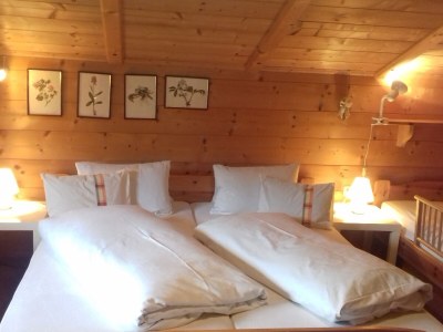 Apartment Wooden log cabin Hiller Kleinarl Apt.2-6 pers. - Features photo 23