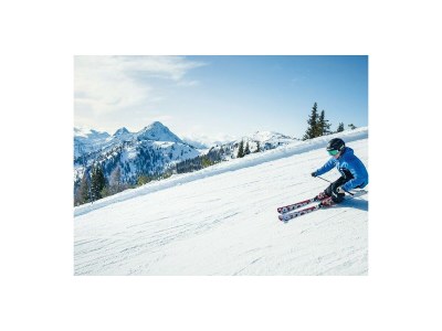 Apartment Wooden log cabin Hiller Kleinarl Apt.2-6 pers. - Environment photo 30