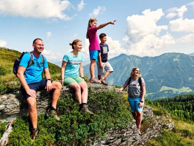 Apartment Wooden log cabin Hiller Kleinarl Apt.2-6 pers. - Environment photo 32