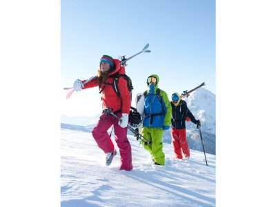 Apartment Wooden log cabin Hiller Kleinarl Apt.2-6 pers. - Environment photo 33