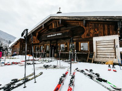 Apartment Wooden log cabin Hiller Kleinarl Apt.2-6 pers. - Environment photo 37