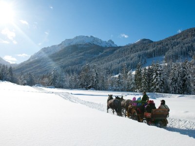 Apartment Wooden log cabin Hiller Kleinarl Apt.2-6 pers. - Environment photo 39