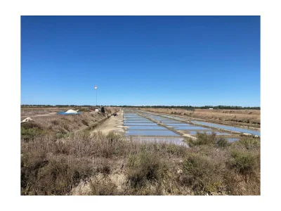 Holiday house Tadorne: Beautiful and modern near the beach - Environment photo 27