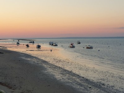 Holiday house Tadorne: Beautiful and modern near the beach - Environment photo 28