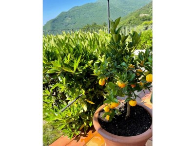 Apartment Appartamento Flair - Outdoor photo 12