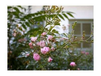 Apartment Ferienhaus/2 Schlafräume/Bad, WC - Outdoor photo 9