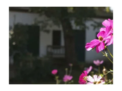 Apartment Ferienhaus/2 Schlafräume/Bad, WC - Outdoor photo 14