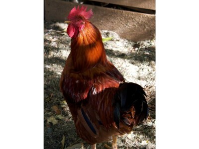 Apartment Ferienhaus/2 Schlafräume/Bad, WC - Outdoor photo 15