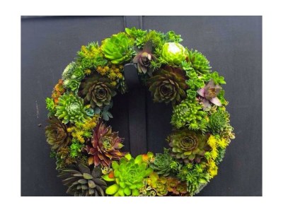 Apartment Ferienhaus/2 Schlafräume/Bad, WC - Outdoor photo 19