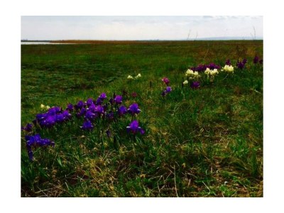 Apartment Ferienhaus/2 Schlafräume/Bad, WC - Outdoor photo 22