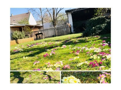 Apartment Ferienhaus/2 Schlafräume/Bad, WC - Outdoor photo 27