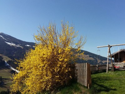 Holiday room Ferienhaus Aussermooserhof - Outdoor photo 5