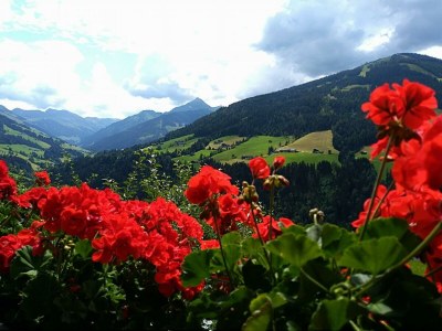 Holiday room Ferienhaus Aussermooserhof - Outdoor photo 20