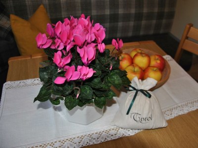 Apartment Ferienwohnung Sonnwendjoch - Features photo 32