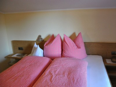 Apartment Dachterrassenwohnung Galtenberg - Features photo 29