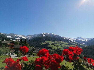 Apartment Ferienwohnung Veronika - Outdoor photo 17