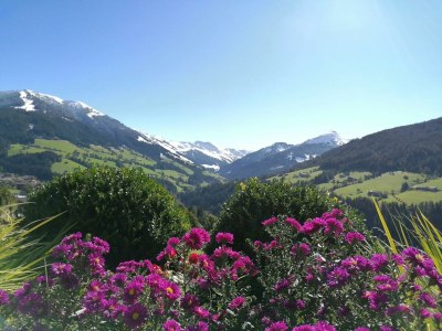 Apartment Ferienwohnung Anna - Outdoor photo 18