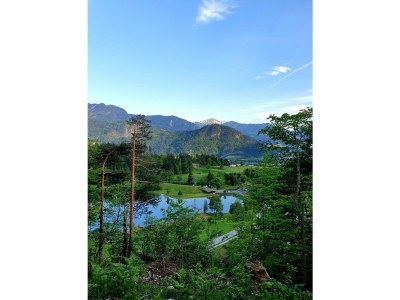 Apartment Das Haus Steger zu Stein - Outdoor photo 7