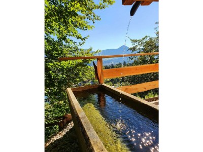 Apartment Das Haus Steger zu Stein - Outdoor photo 9