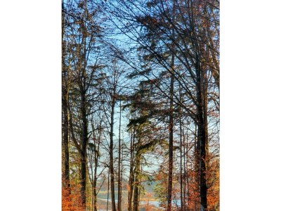 Apartment Das Haus Steger zu Stein - Outdoor photo 12