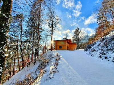 Apartment Das Haus Steger zu Stein - Outdoor photo 14