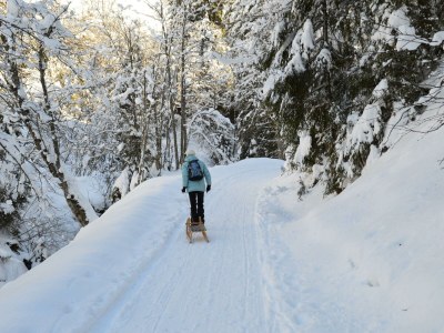 Apartment Das Haus Steger zu Stein - Outdoor photo 21