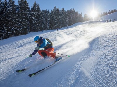 Apartment Das Haus Steger zu Stein - Outdoor photo 24