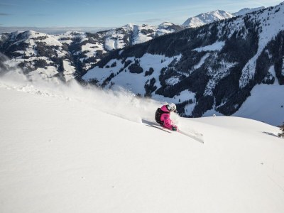 Apartment Das Haus Steger zu Stein - Outdoor photo 29